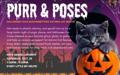 Purr & Poses: Fundraiser for Astoria Cat Rescue
