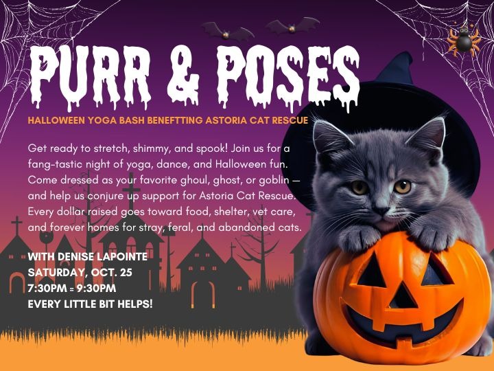 Our fundraiser for Astoria Cat Rescue, Purr & Poses, takes place on Oct. 25